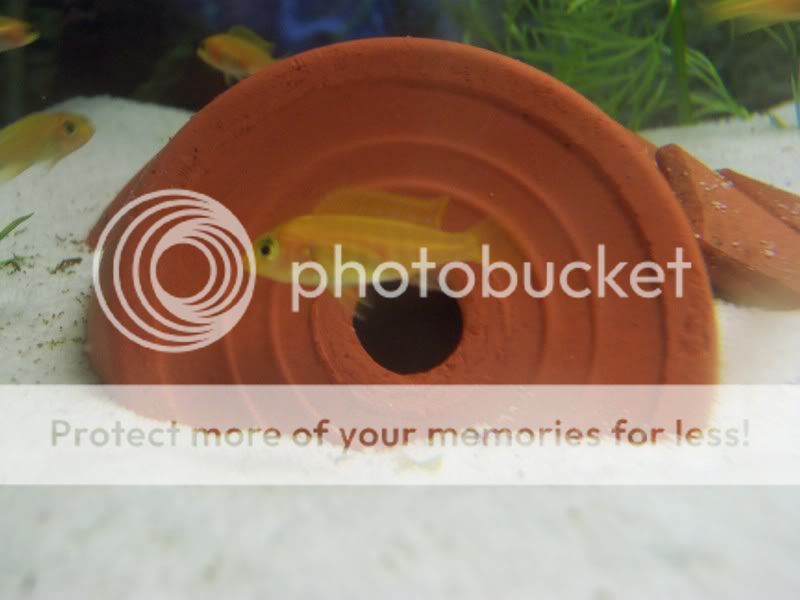 camerafryect016.jpg