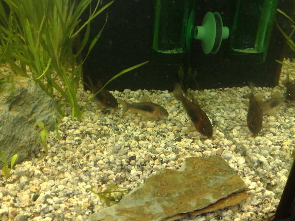 18082010053.jpg