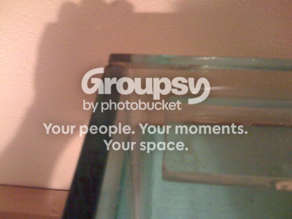 Picture.jpg