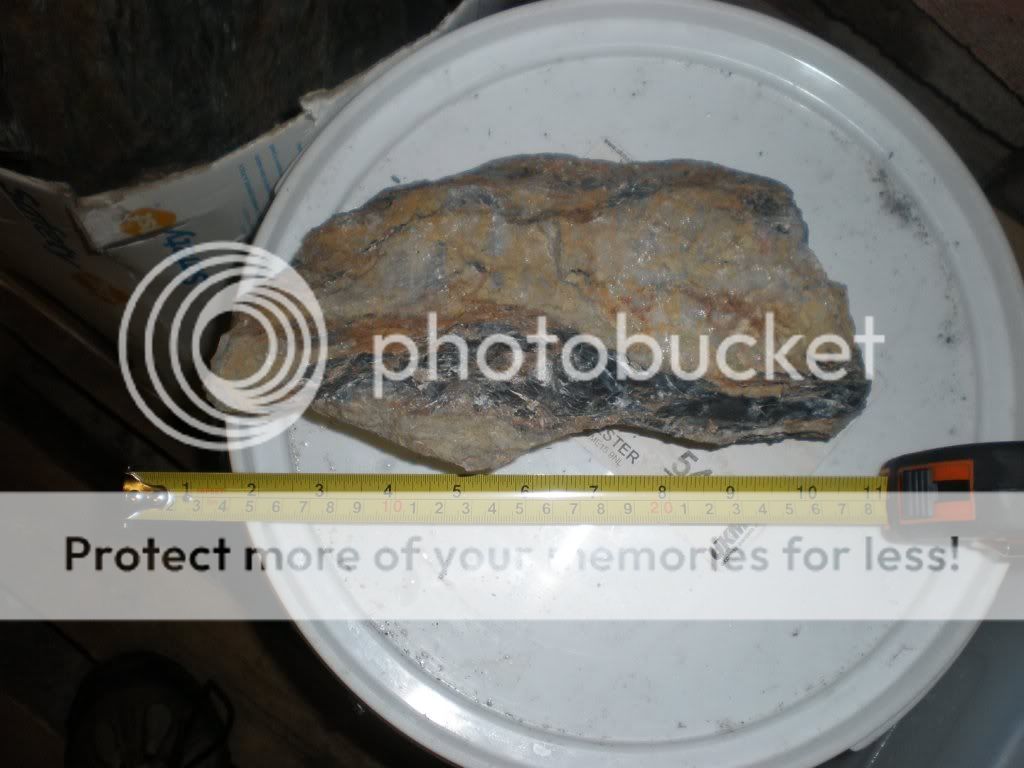 Pa170997.jpg