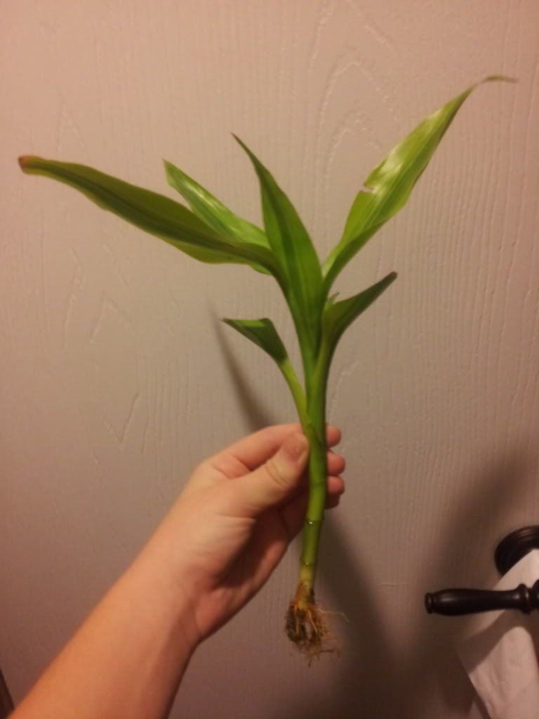 20120926_205523.jpg