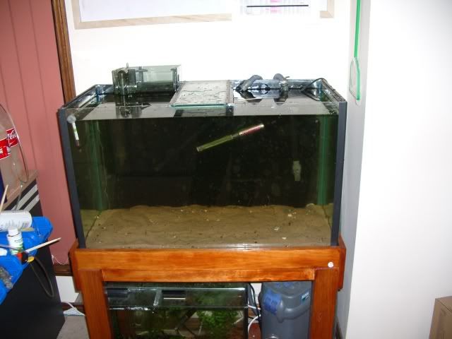IMGP0998.jpg