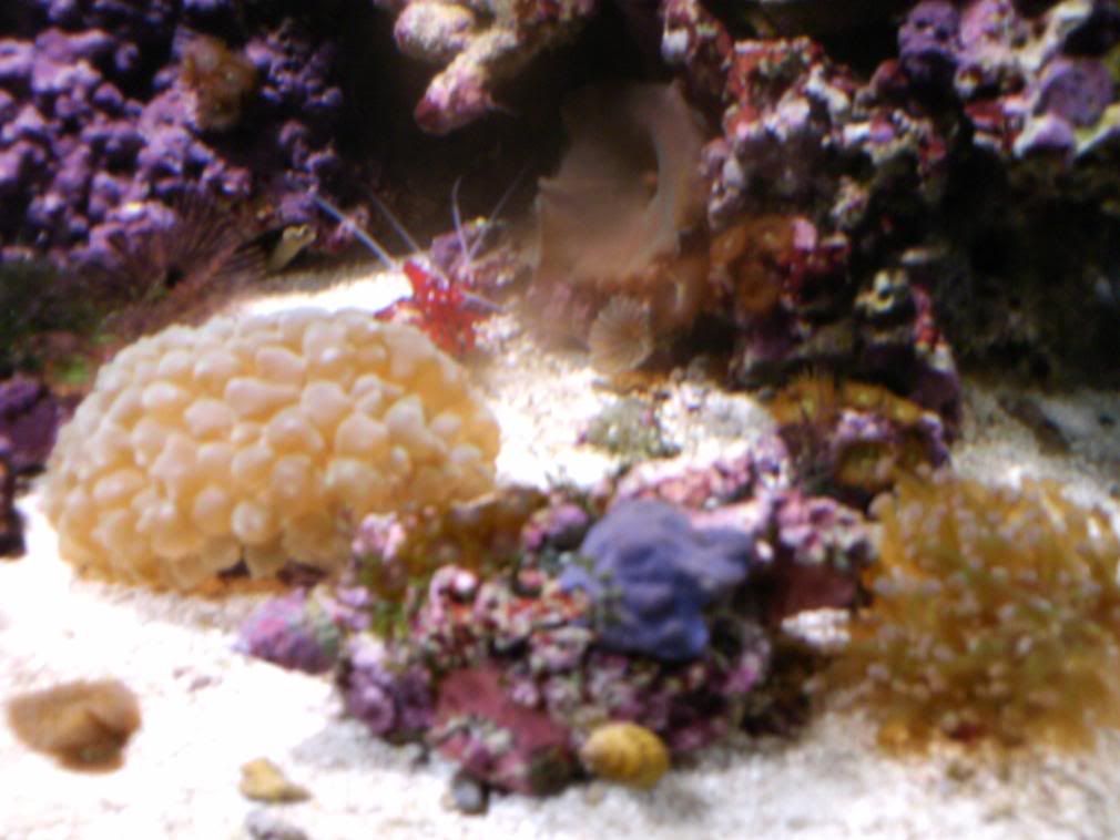 HPIM0674.jpg