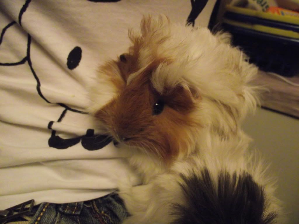 DSCF0688.jpg