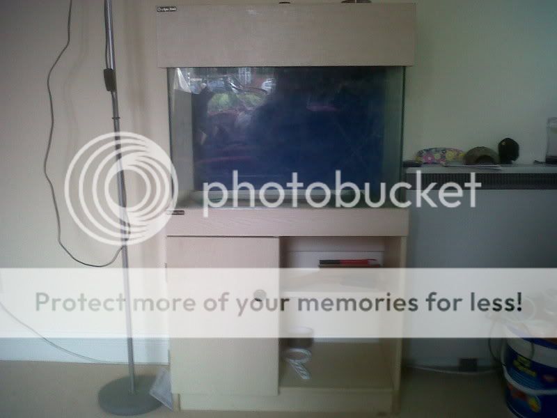 IMG00237-20110915-1526.jpg