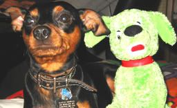 100-0006_IMG.jpg
