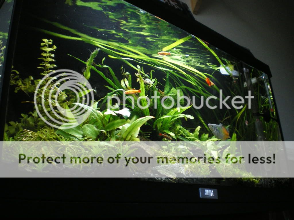 IMGP1076.jpg