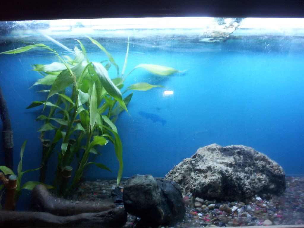 100_2073.jpg