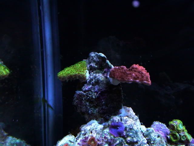 DSC01123.jpg