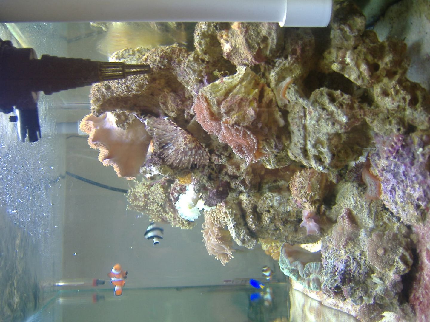DSCF0644.jpg