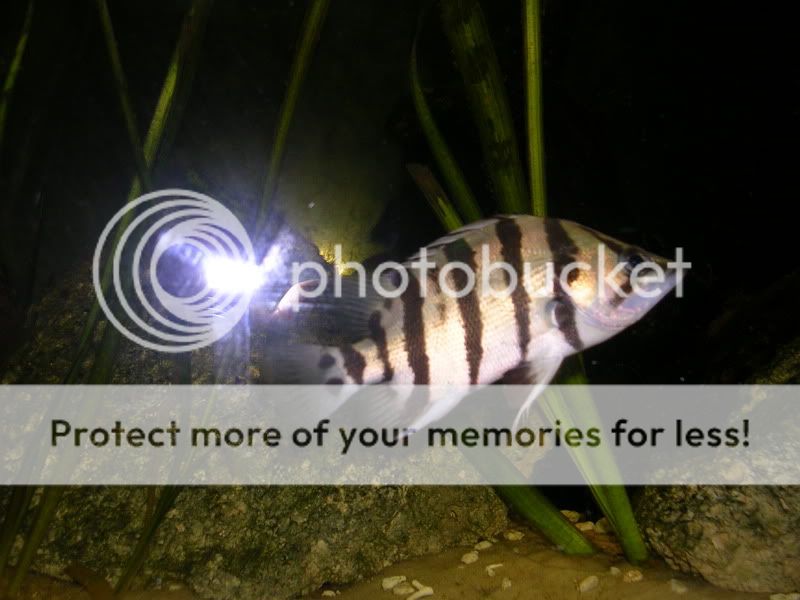 DSCN3778.jpg