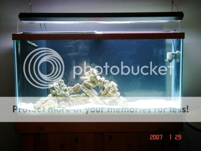 DSC01123.jpg