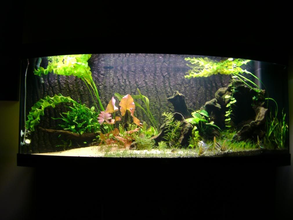 IMAG0030-1.jpg