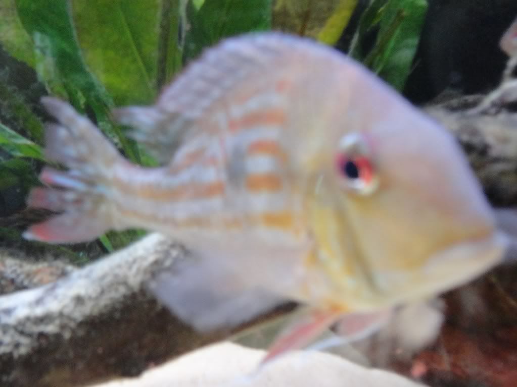 DSC01122.jpg