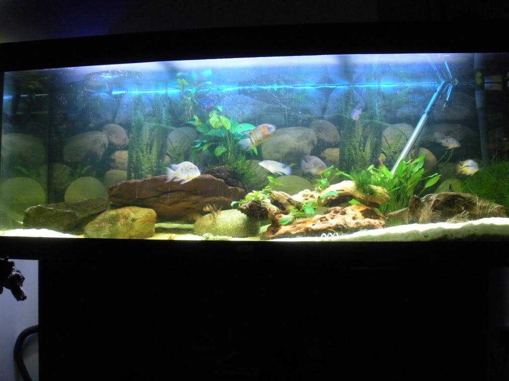 DSCN9975.jpg