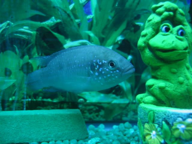 IMG_1986.jpg