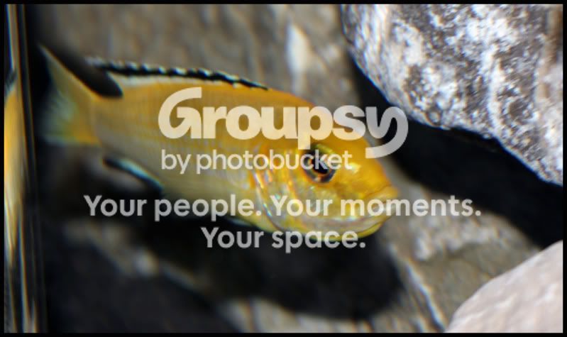 E.jpg