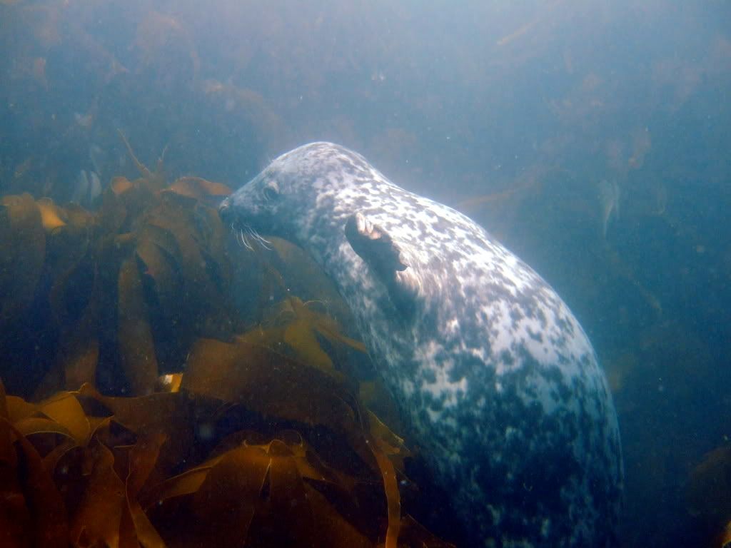 DSCF6115.jpg