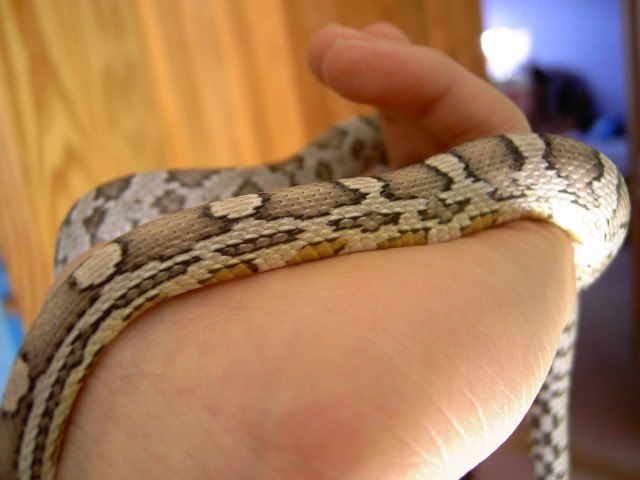 Picture021.jpg