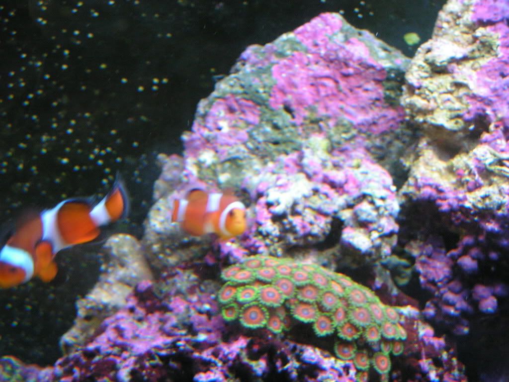 PICT1339.jpg