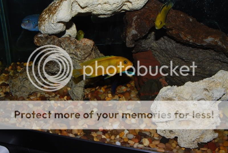 DSC_5274.jpg