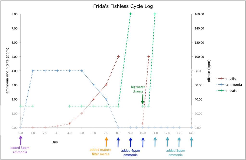 1graph.jpg