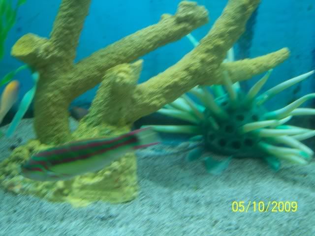 100_6130.jpg