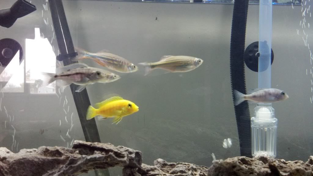 2012-04-08_12-21-39_430.jpg