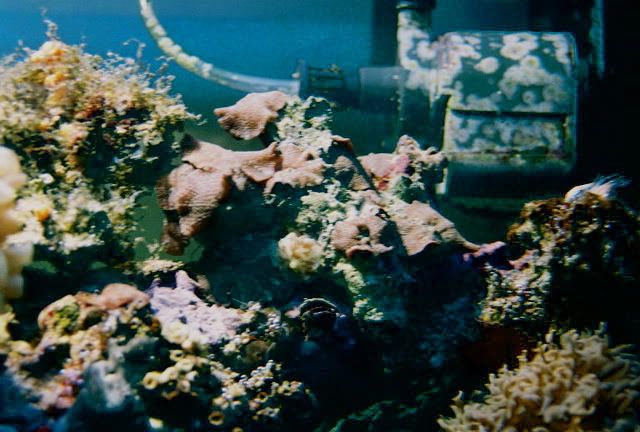 FL000017.jpg