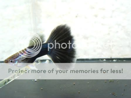 DSCF5339.jpg