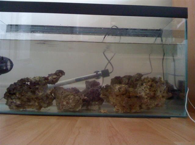 tank003Small.jpg