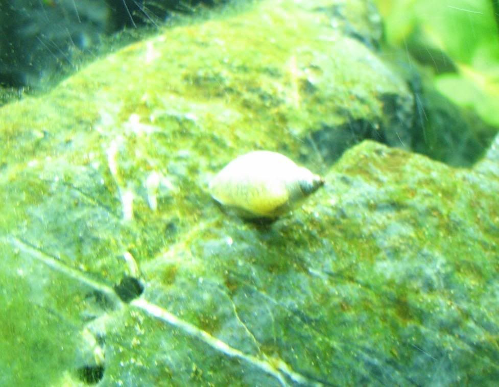 FishTank072.jpg