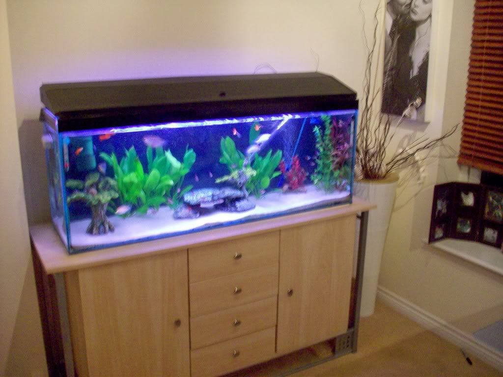100_0023.jpg