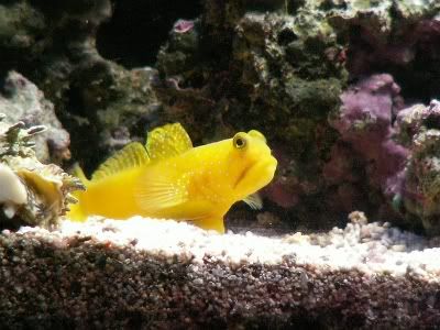 PICT0078.jpg