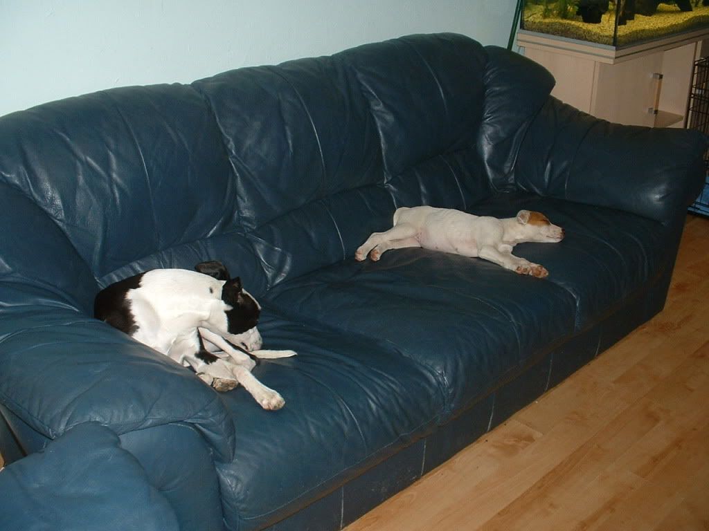 DSCF00622.jpg