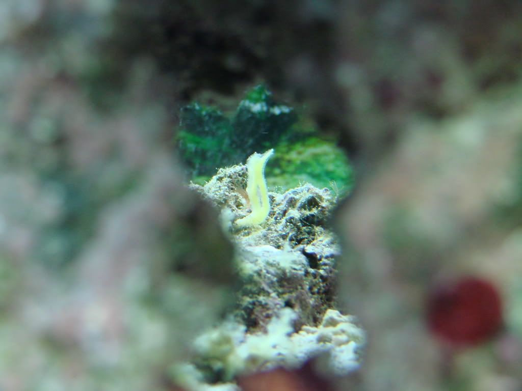 DSC00367.jpg