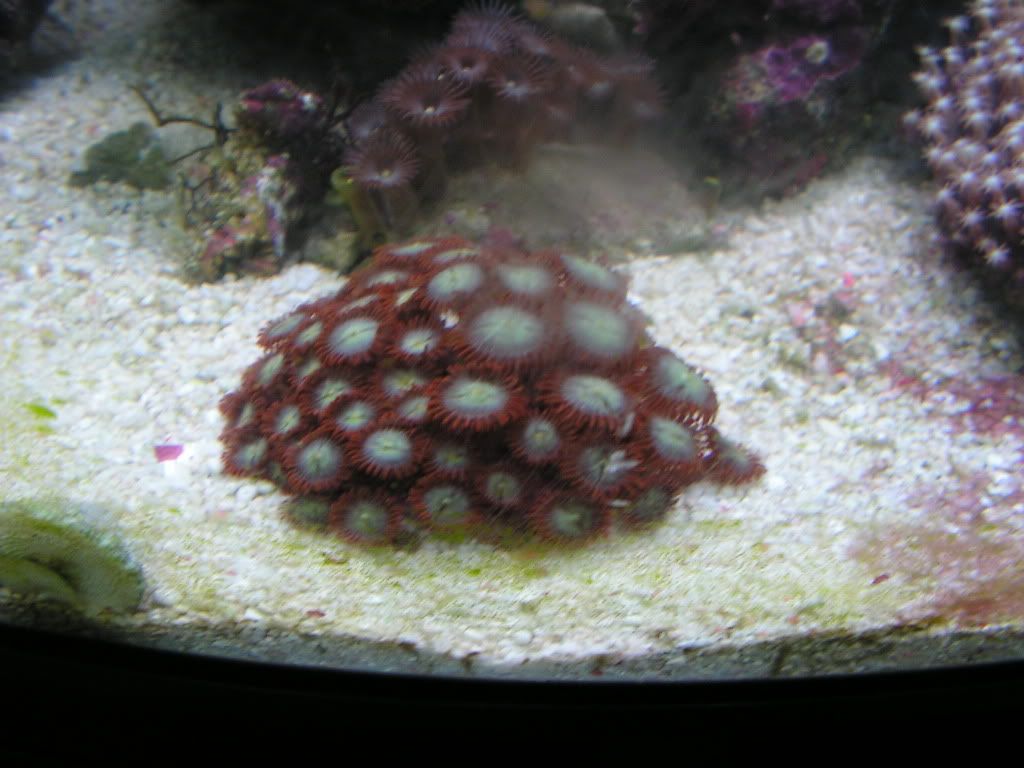 PICT1325.jpg