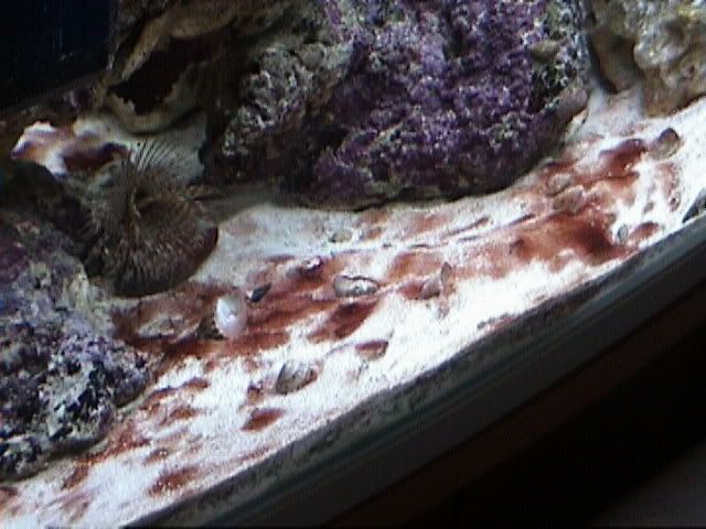 DSC00050.jpg
