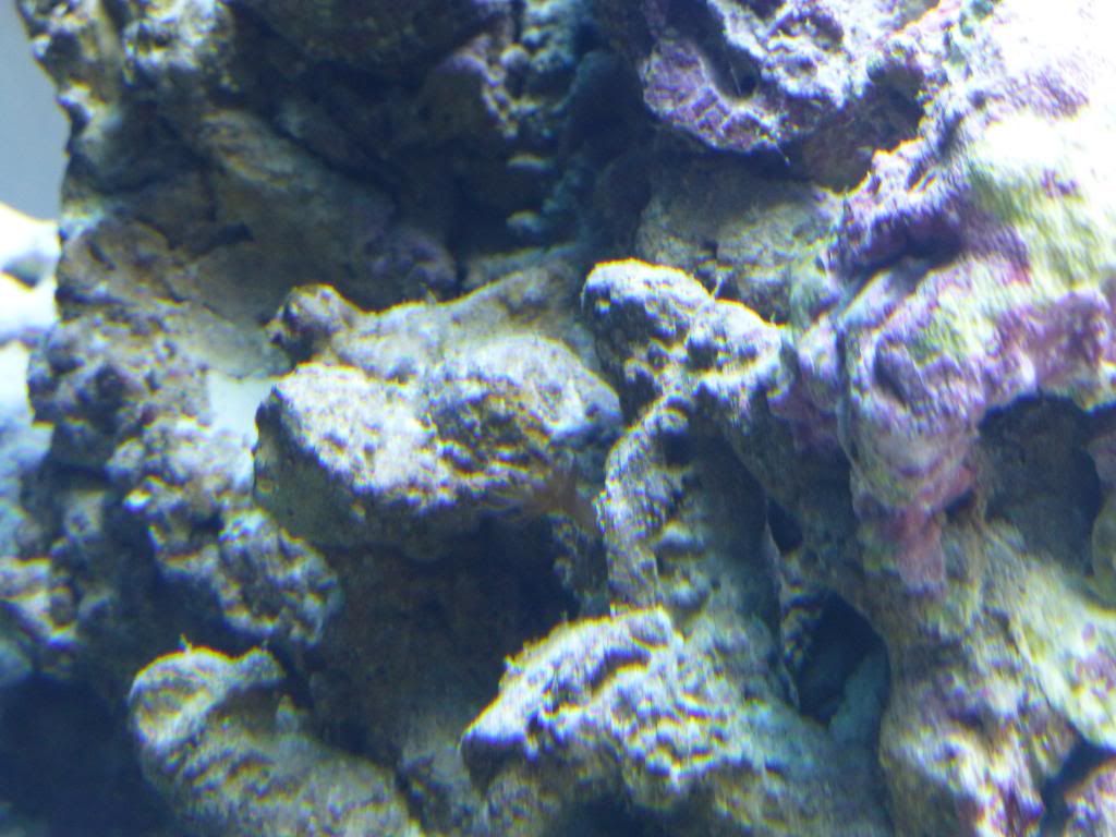 P1000075.jpg