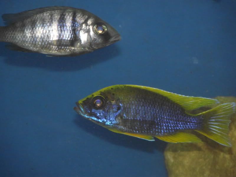 DSCF7923.jpg