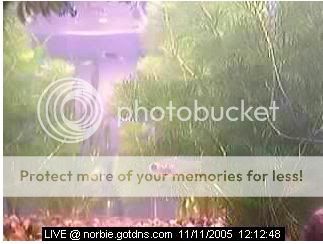 webcam.jpg