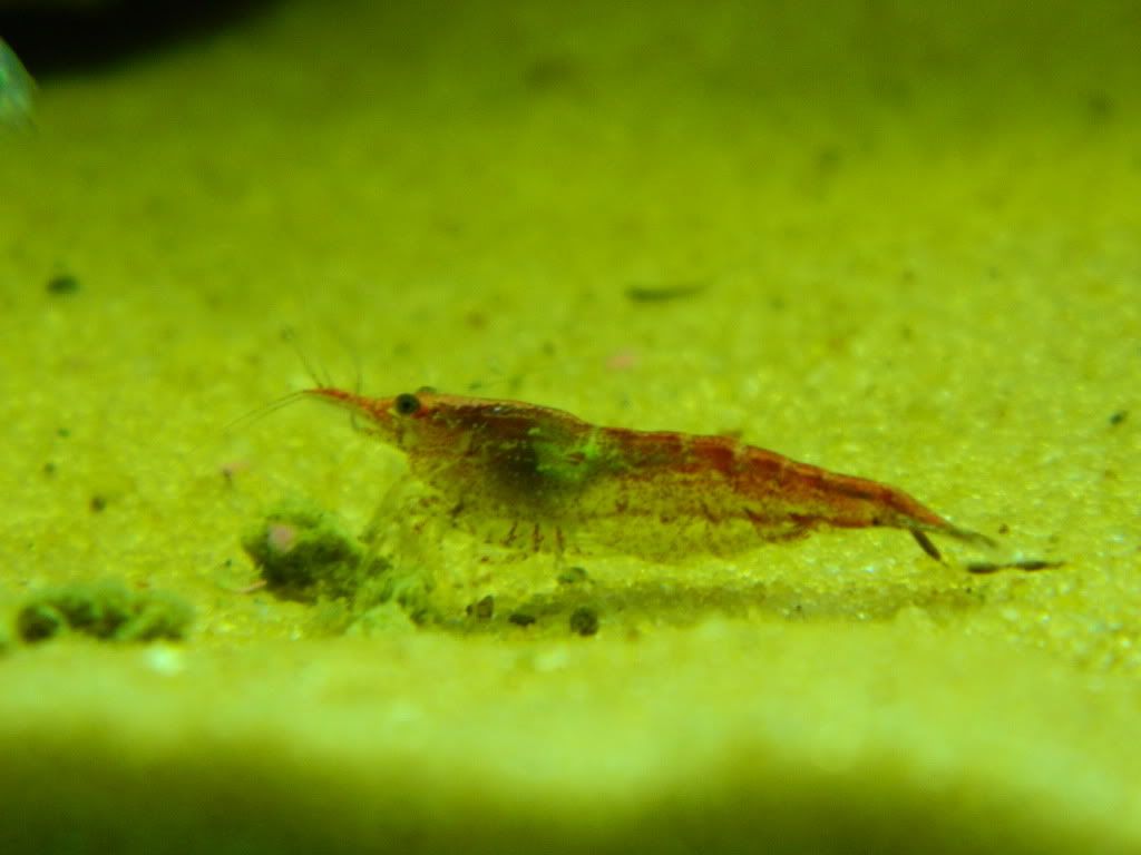 DSCN0880.jpg