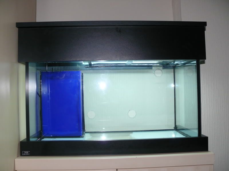 June09130.jpg