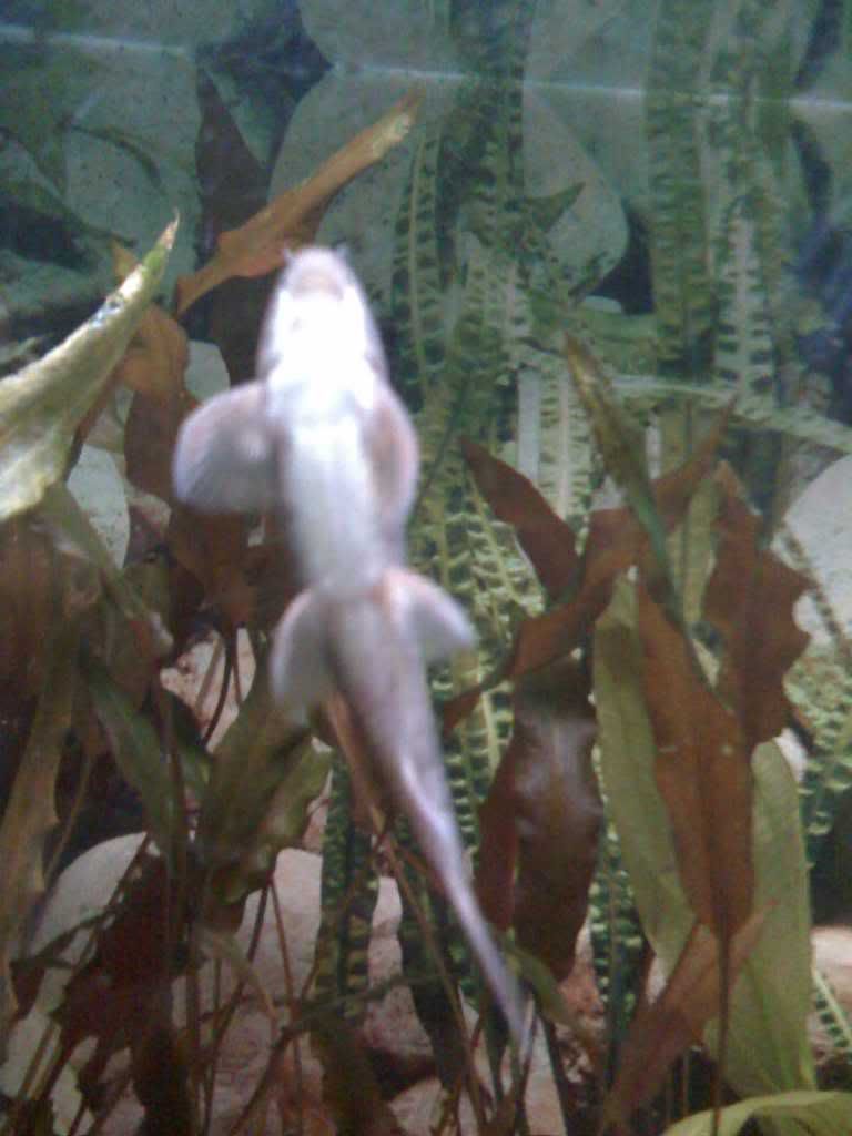 28-01-09_1355.jpg