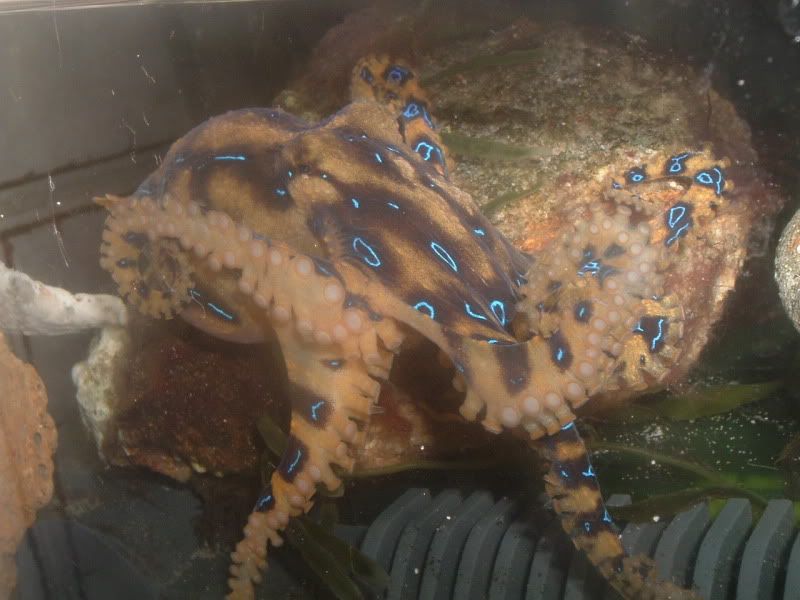 DSCF8162.jpg