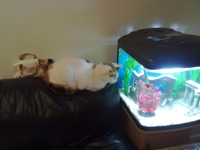 16102010032.jpg