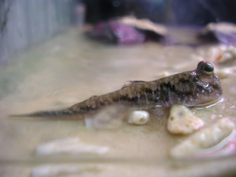 DSCN2987.jpg