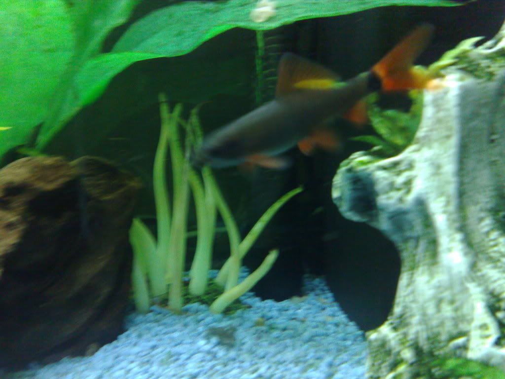28042008023.jpg