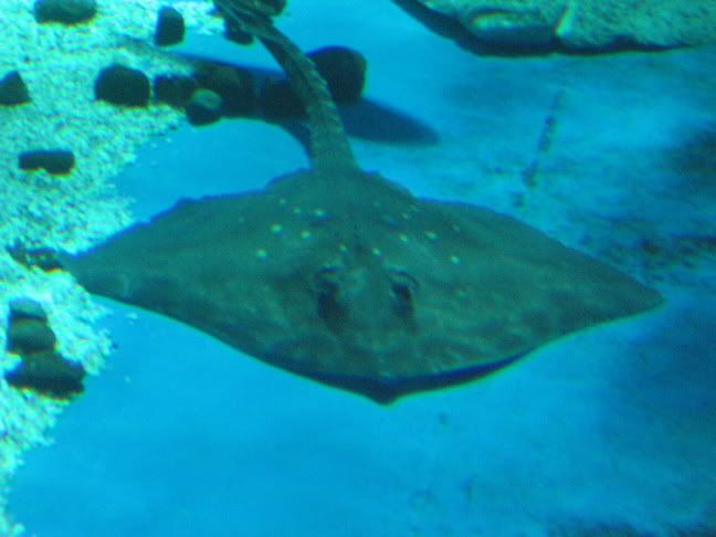 IMG_0674.jpg