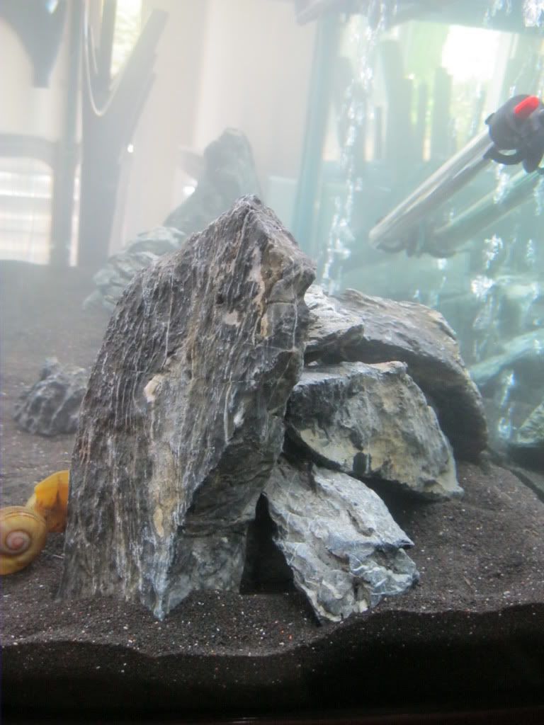 IMG_0136.jpg